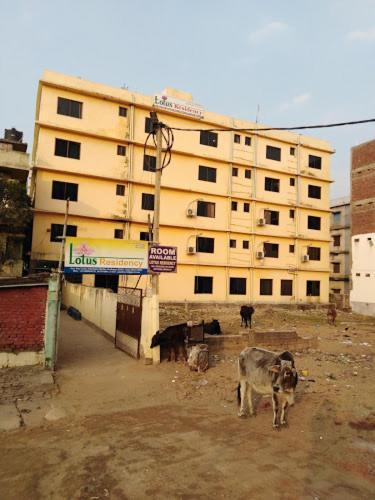 Hotel Lotus Residency Bodh Gaya Esterno foto